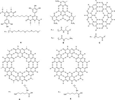Self-assembled Janus base nanotubes: chemistry and applications